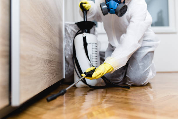 Best Flea Control Services  in Hilliard, FL