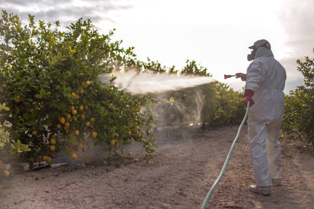 Best Exterminator Services  in Hilliard, FL