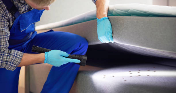 Reliable Hilliard, FL Pest Control Solutions
