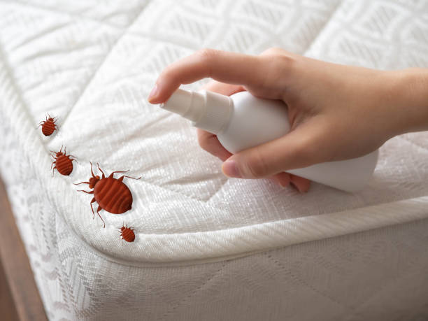 Wasp Removal Services in Hilliard, FL